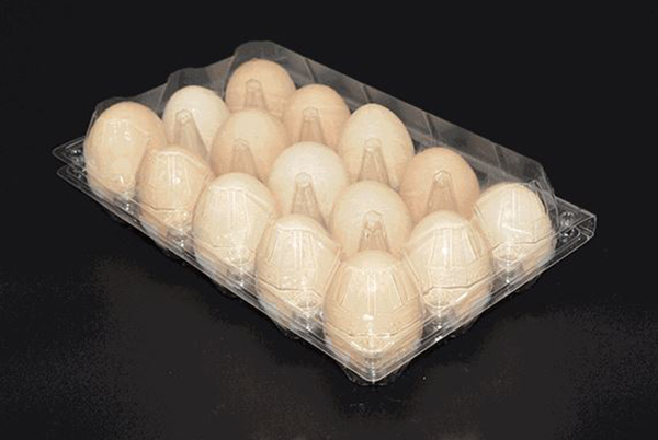 Paket Telur